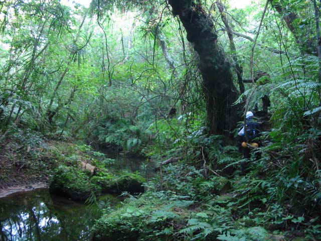 juusou2 006